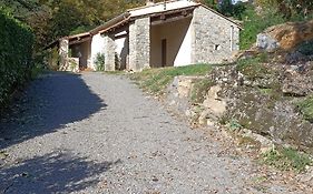 Gite Au Pied Du Grand Cedre